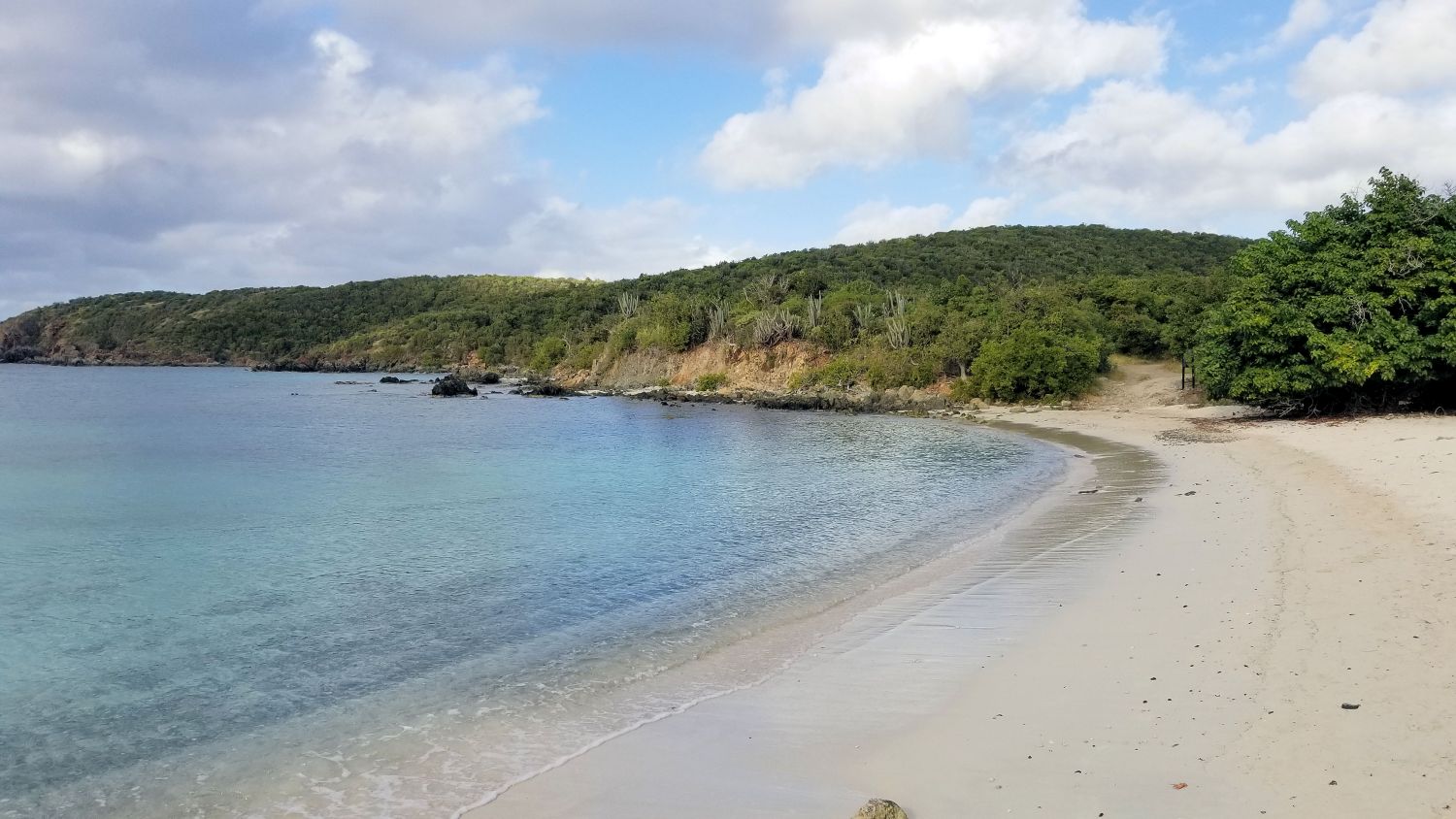 Saltpond Bay 